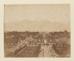 Téhéran. Jardin du Nizamiyeh - Luigi Pesce